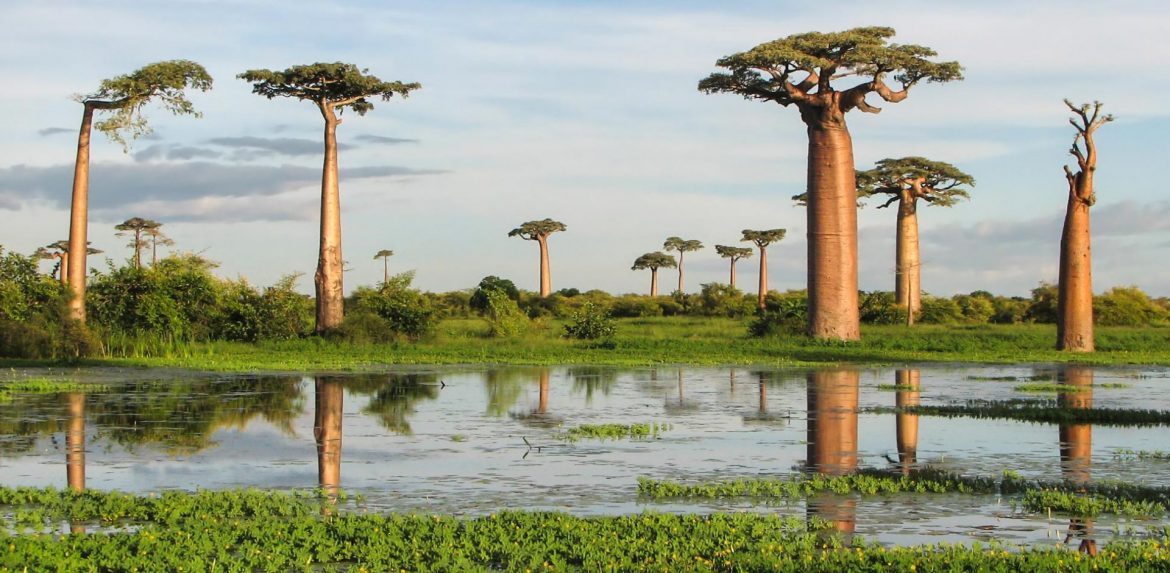 Plan A Trip To Madagascar With Our Tips
