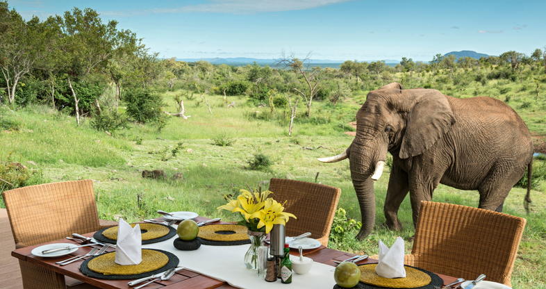 Love in the Wild: Honeymooning in the Heart of Africa – The Best Safari Destinations